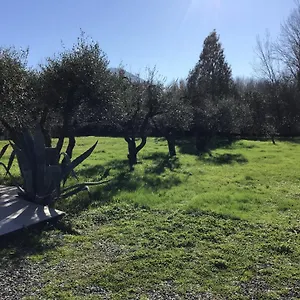  Casa vacanze L Olivo